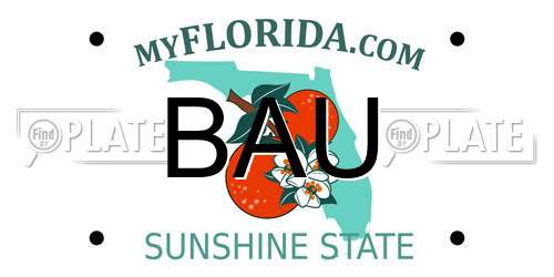 BAU Florida License Plate