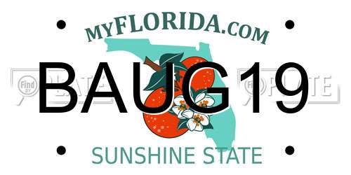 BAUG19 Florida License Plate