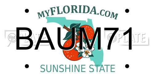 BAUM71 Florida License Plate