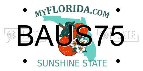 BAUS75 Florida License Plate