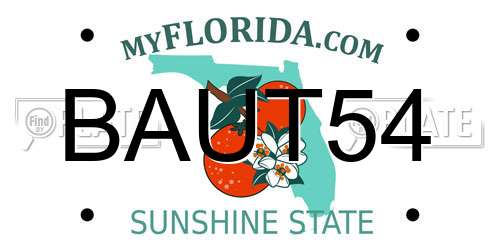 BAUT54 Florida License Plate