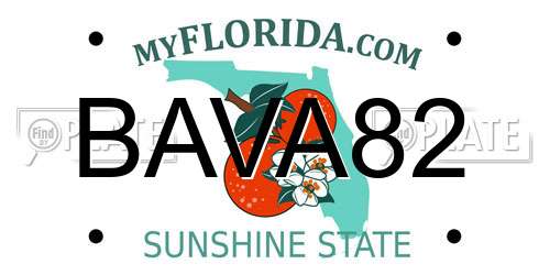 BAVA82 Florida License Plate