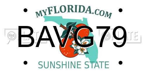 BAVG79 Florida License Plate
