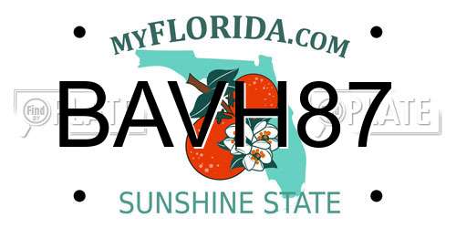 BAVH87 Florida License Plate