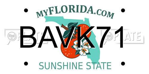 BAVK71 Florida License Plate