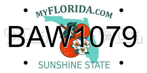 BAW1079 Florida License Plate