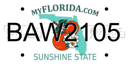 BAW2105 Florida License Plate