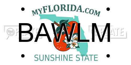 BAWLM Florida License Plate
