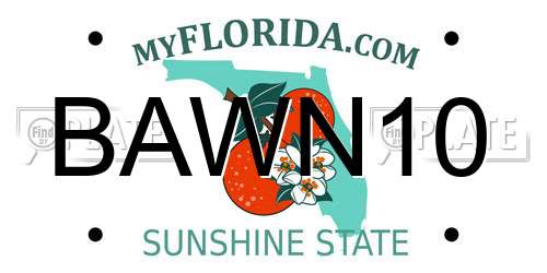BAWN10 Florida License Plate