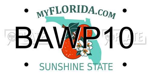 BAWP10 Florida License Plate