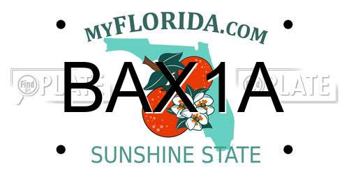 BAX1A Florida License Plate