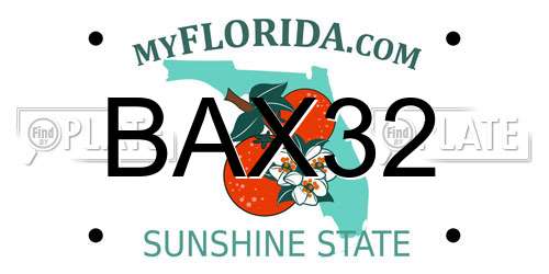 BAX32 Florida License Plate