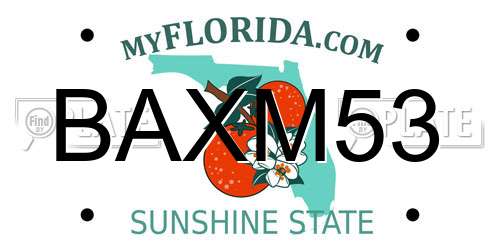 BAXM53 Florida License Plate