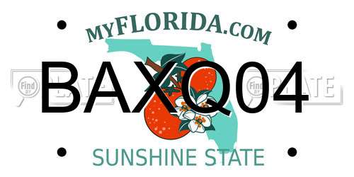 BAXQ04 Florida License Plate