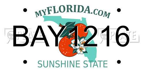 BAY1216 Florida License Plate