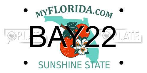 BAY22 Florida License Plate