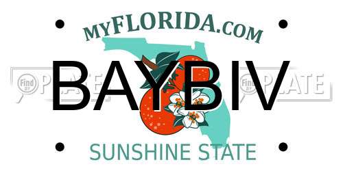 BAYBIV Florida License Plate