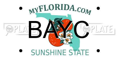 BAYC Florida License Plate
