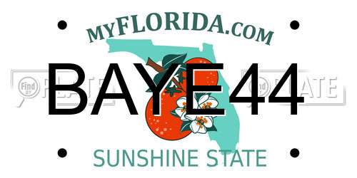 BAYE44 Florida License Plate