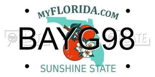 BAYG98 Florida License Plate