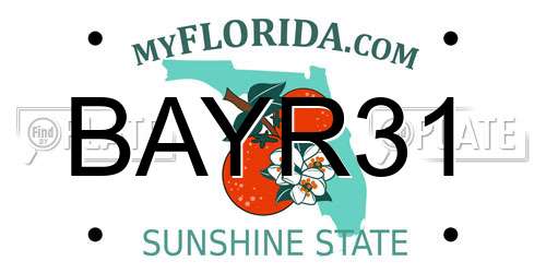 BAYR31 Florida License Plate