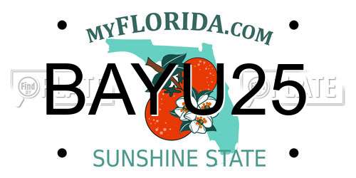 BAYU25 Florida License Plate
