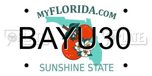 BAYU30 Florida License Plate