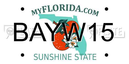 BAYW15 Florida License Plate
