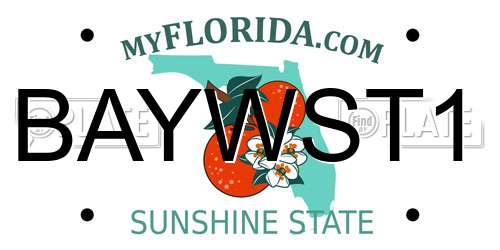 BAYWST1 Florida License Plate