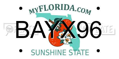 BAYX96 Florida License Plate