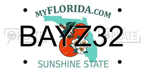 BAYZ32 Florida License Plate