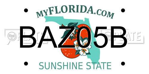 BAZ05B Florida License Plate