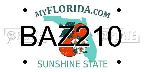BAZ210 Florida License Plate