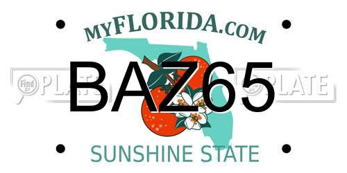BAZ65 Florida License Plate