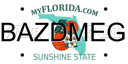 BAZDMEG Florida License Plate