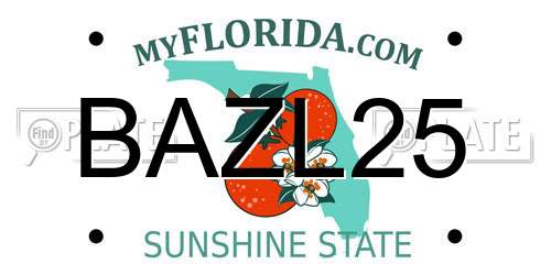 BAZL25 Florida License Plate