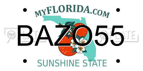 BAZO55 Florida License Plate