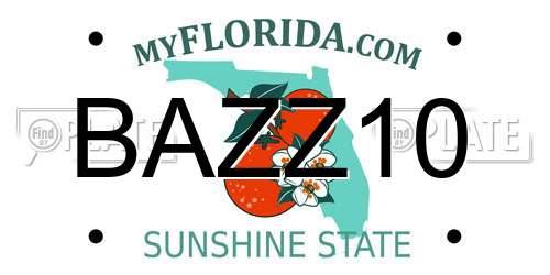 BAZZ10 Florida License Plate