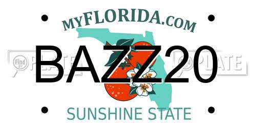 BAZZ20 Florida License Plate