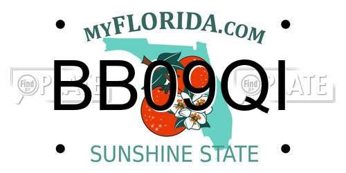 BB09QI Florida License Plate