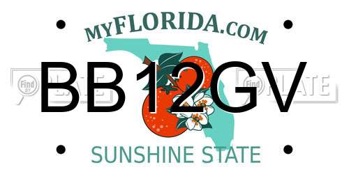 BB12GV Florida License Plate