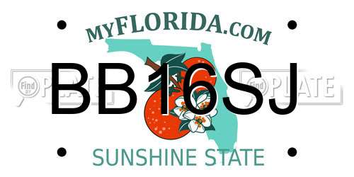 BB16SJ Florida License Plate