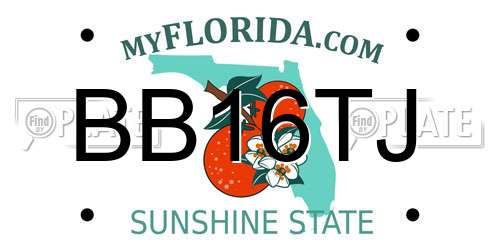 BB16TJ Florida License Plate
