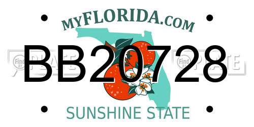BB20728 Florida License Plate