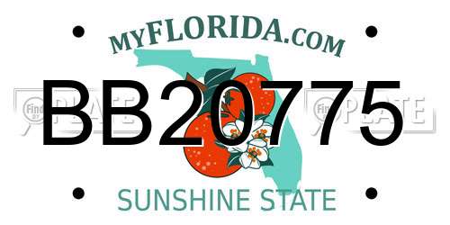 BB20775 Florida License Plate