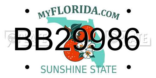 BB29986 Florida License Plate