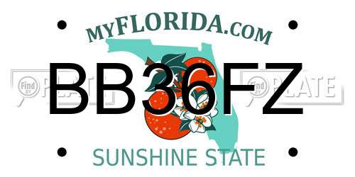 BB36FZ Florida License Plate