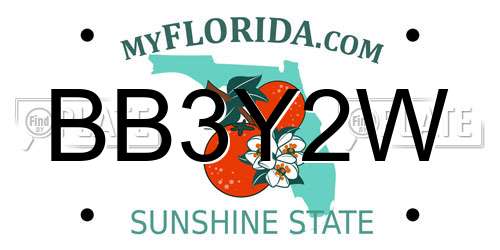 BB3Y2W Florida License Plate