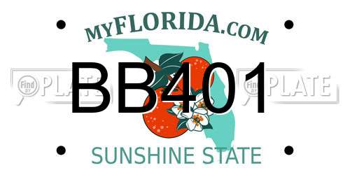 BB401 Florida License Plate