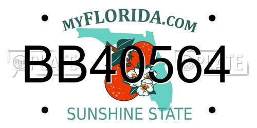 BB40564 Florida License Plate
